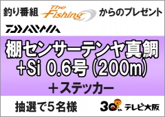 DAIWA ê���󥵡��ƥ�俿���Si 0.6���200m�ˤȥ��ƥå����Υ��å� ����