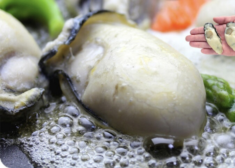 【広島産】ジャンボかき1kgを1名様にプレゼント♪ 画像
